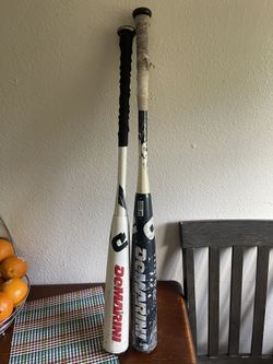 Bats