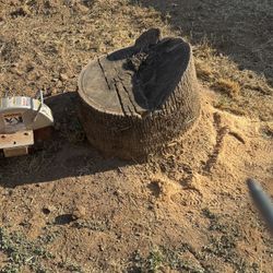 Stump Grinding 