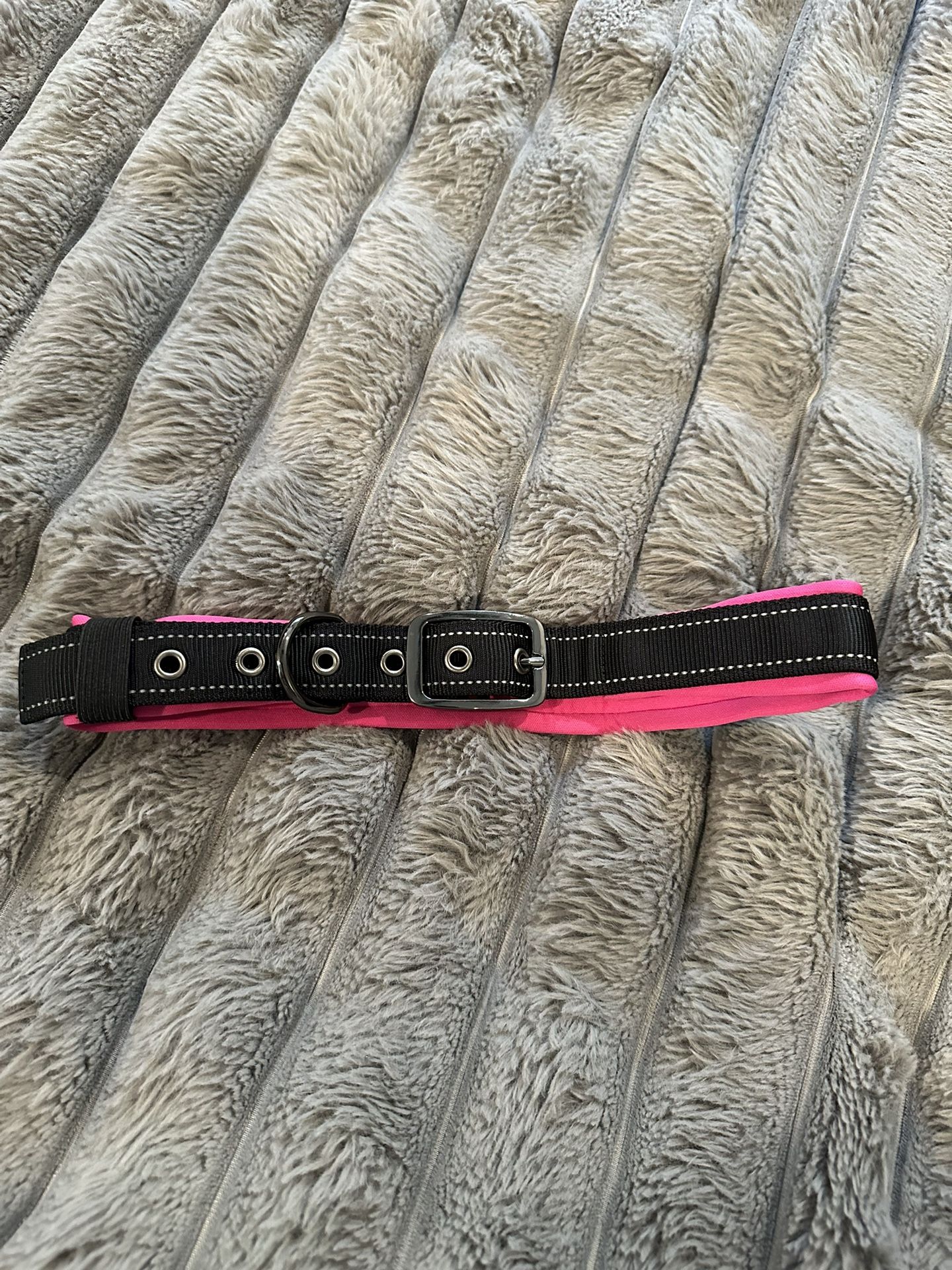 Dog Collar