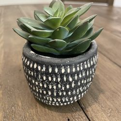 Artificial Potted Succulent 