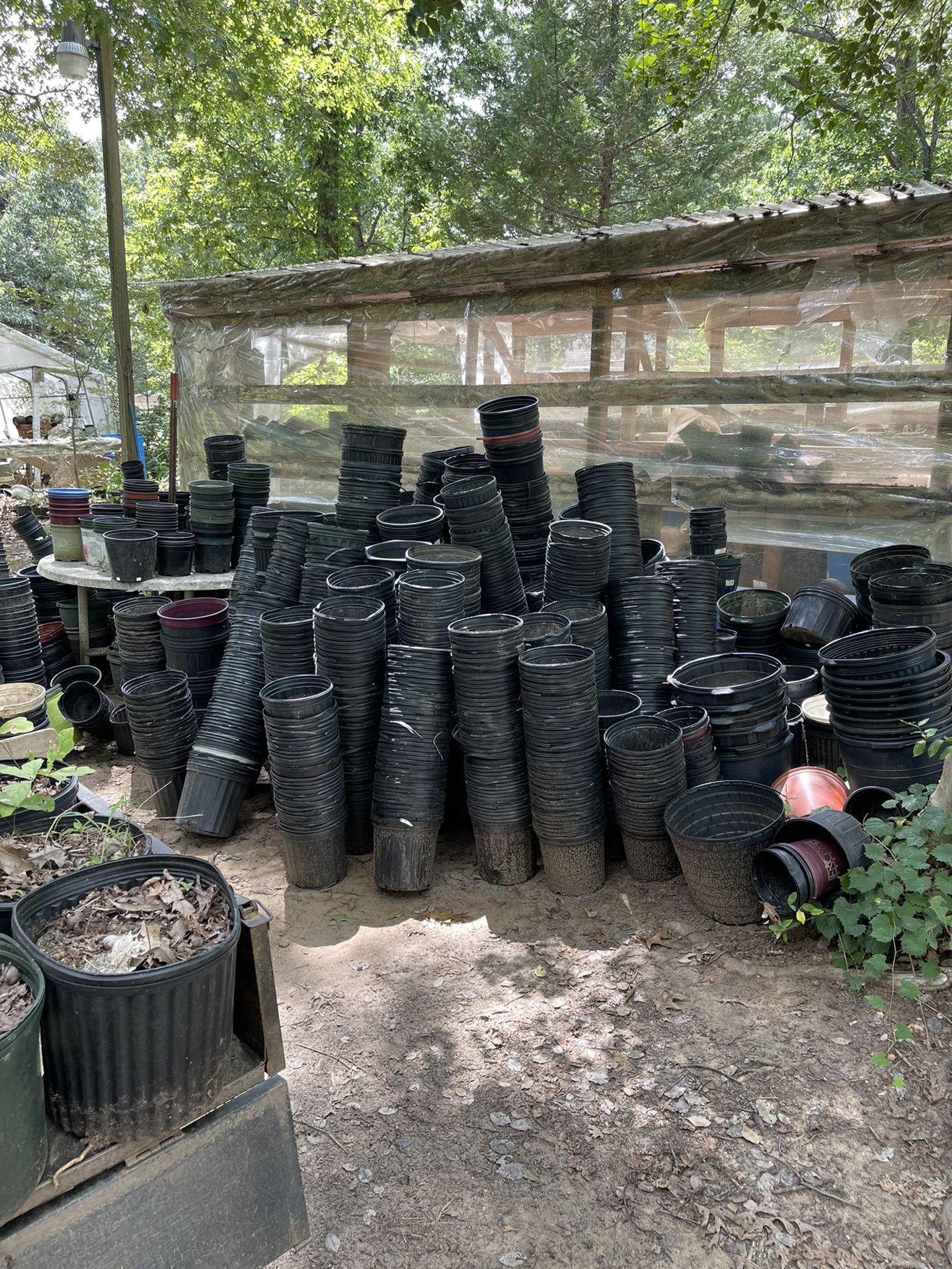 Empty Nursery Pots 1, 2, 3, 5, 7, gallon sizes,