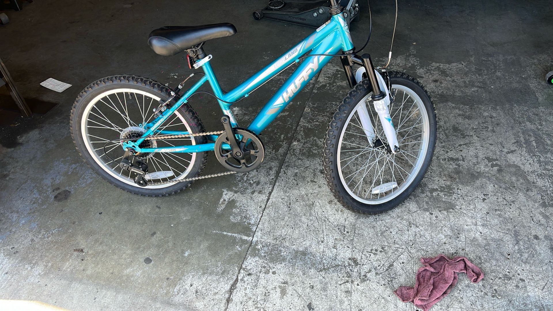 20 Inch Girls Mountain Bike