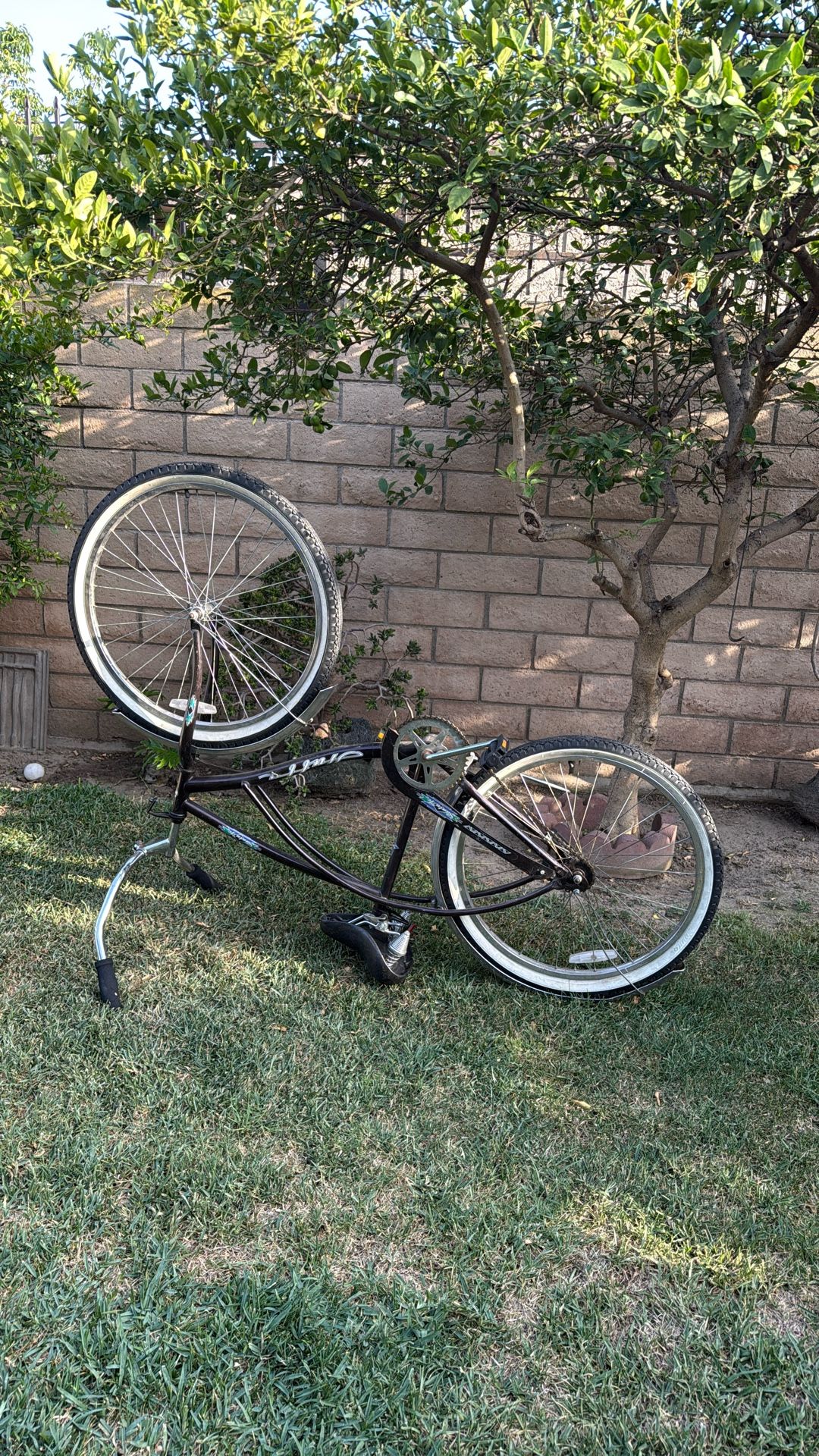 Bike Beach Cruiser 