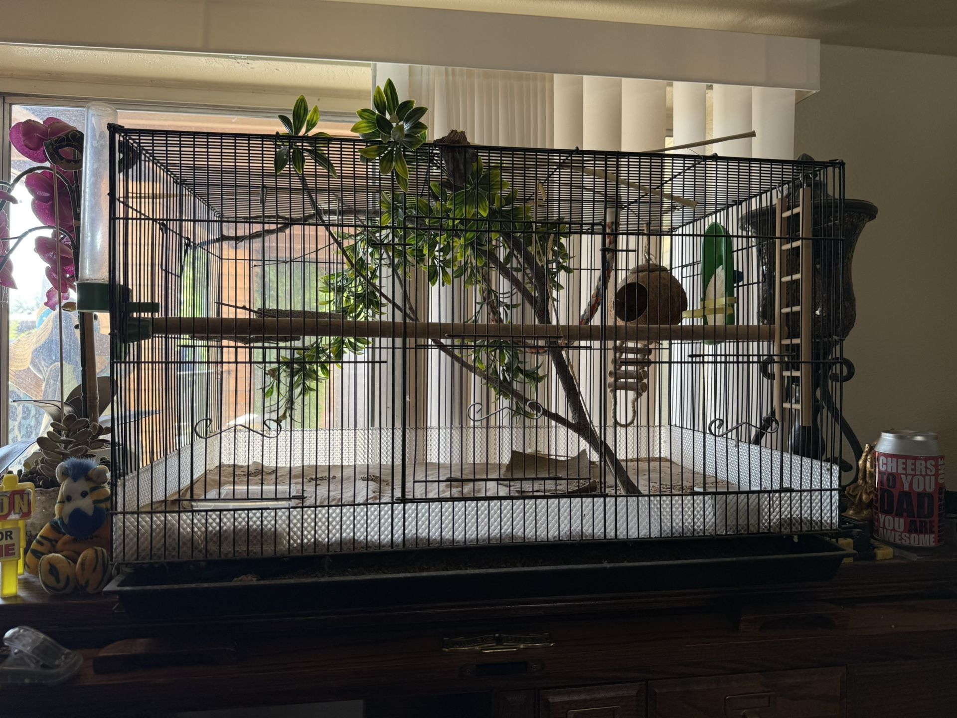 Bird Cage