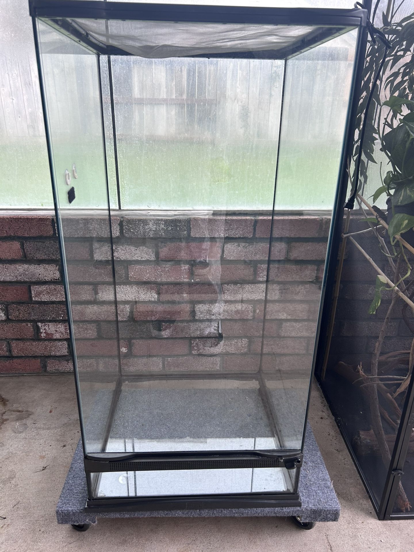 Reptile Enclosure
