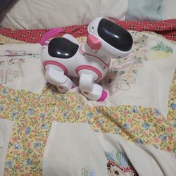 Robot Dog