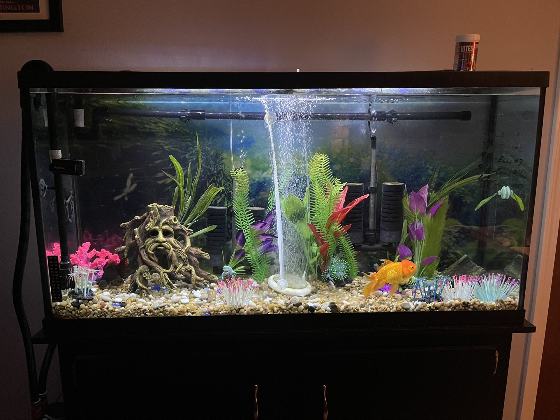 Marineland 60 Gallon Fish tank / Aquarium / Reptile Frog Lizard Vivarium