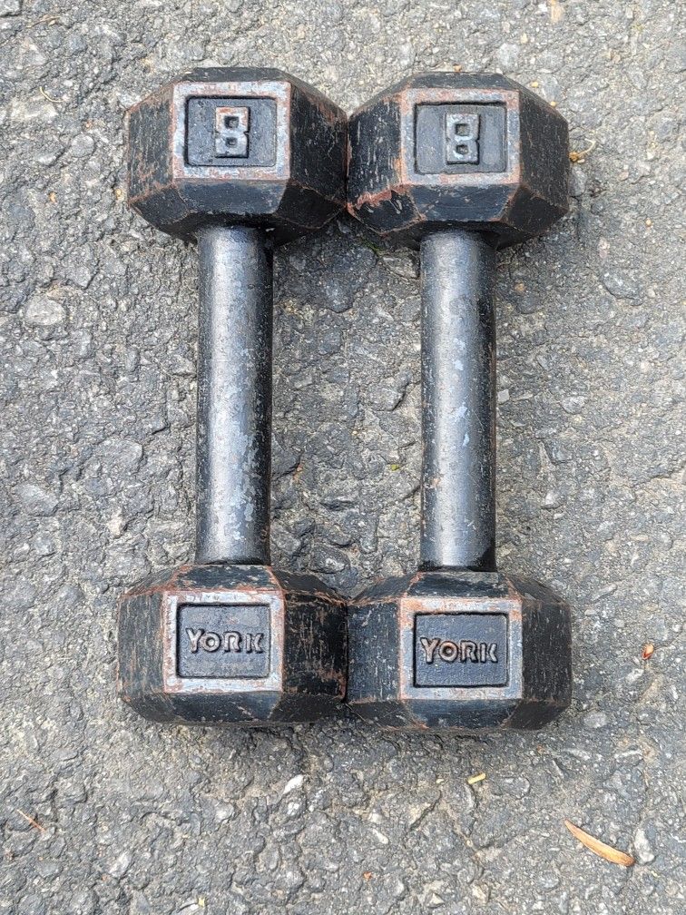 York Hexagon Dumbbells-8lbs