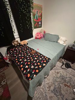 Full Mattress and bed frame