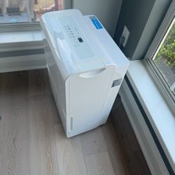 Homelabs Dehumidifier 