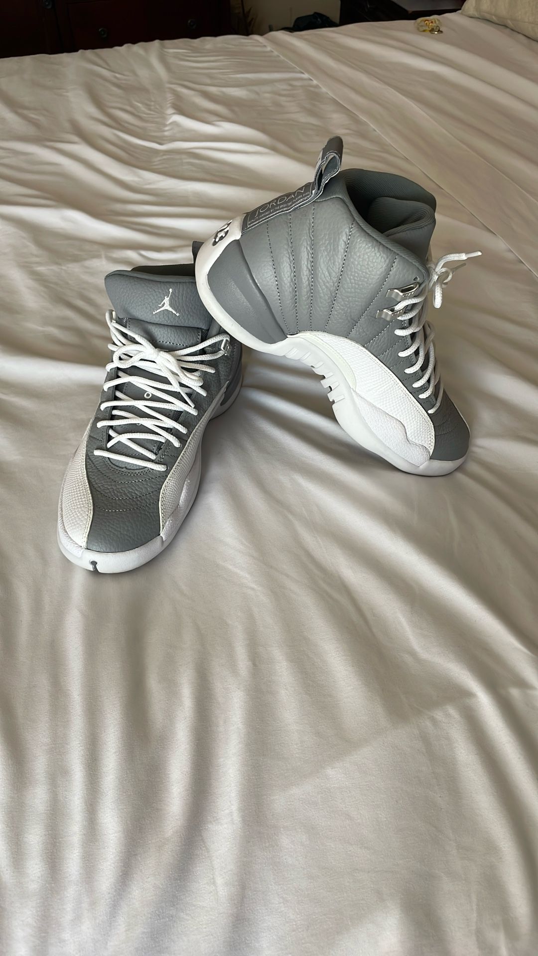 Air Jordan 12s