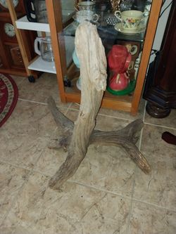 Large Natural Driftwood Piece