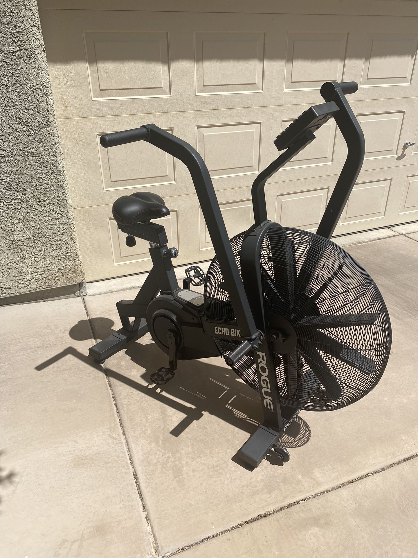 ROGUE ECHO BIKE