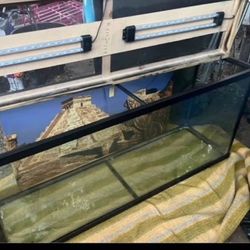 Reptile Tank 