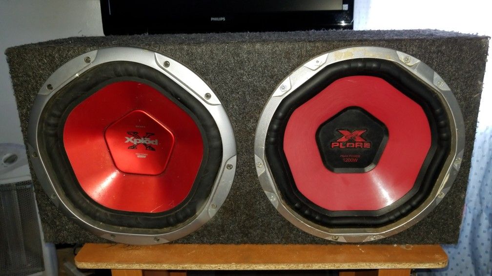 12' Subwoofer