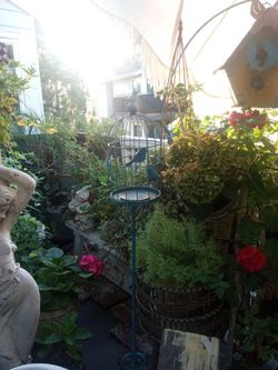 Bird Cage Decor