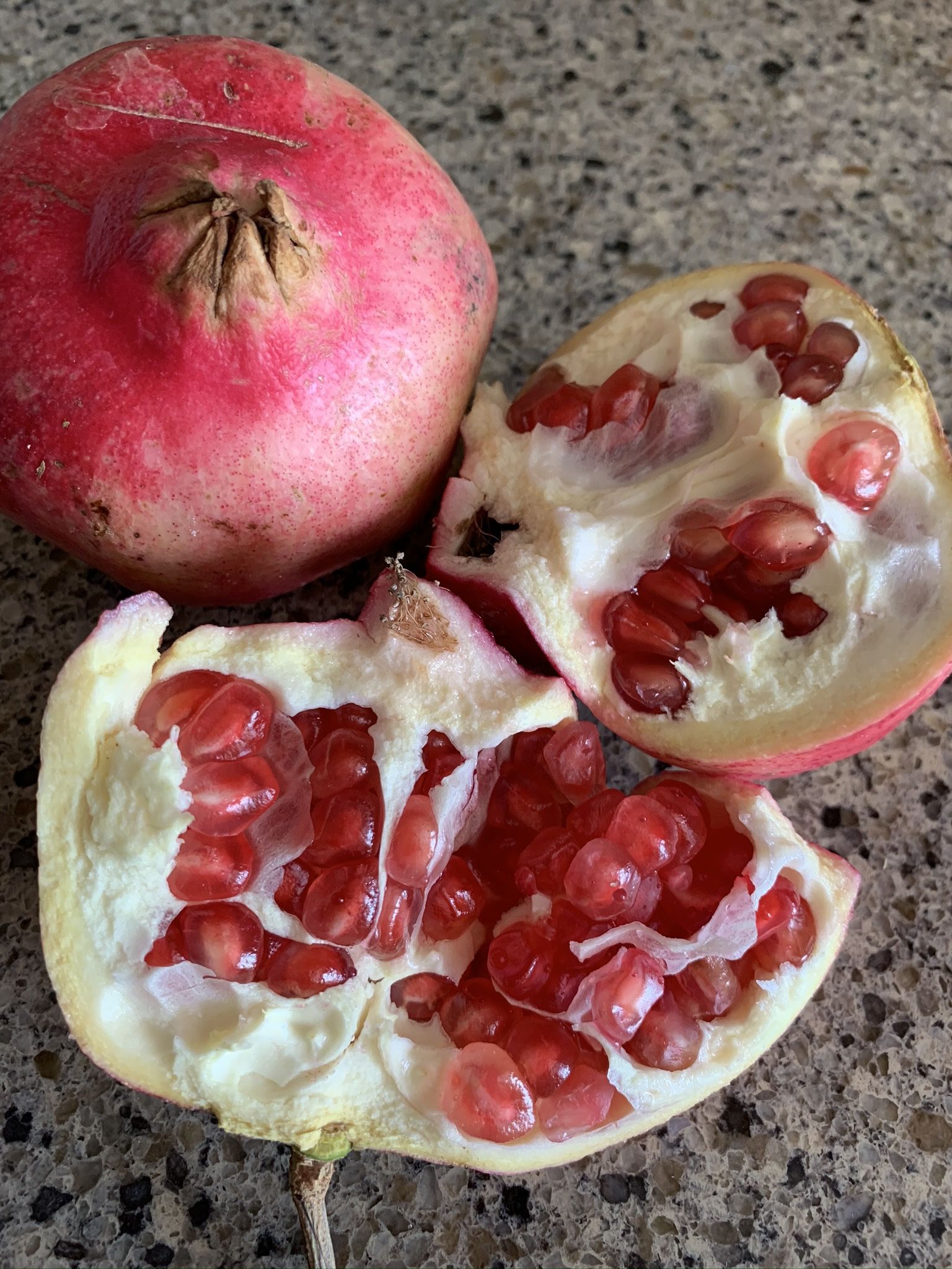 Eversweet Pomegranate Trees $35. 3+ Ft Tall