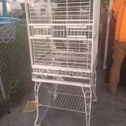 Bird Cage 
