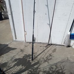 New Daiwa Fishing Pole 