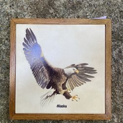Bald Eagle Art