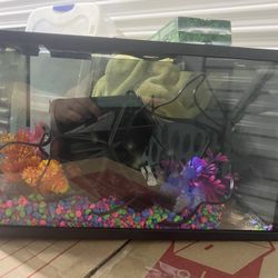 Fish Tank With Accessories 