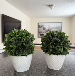 Set of 2 Artificial Greenery Plant Bush in Small White Planter Pot 7” tall 