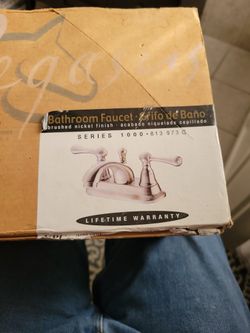 Pegasus bathroom faucet brush nickel