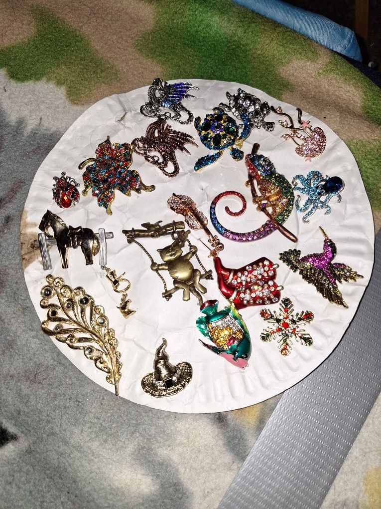 Different Brooche Pins