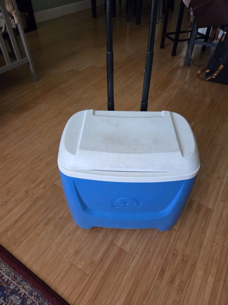 Cooler on Wheels