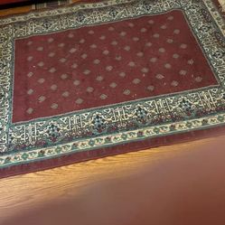 ($40Firm)4 x 6 Cairo rug with fringe edges