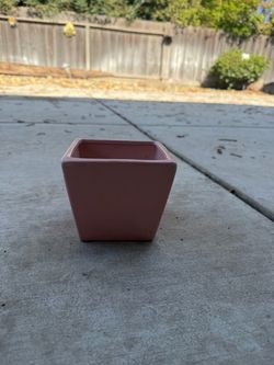 Pot