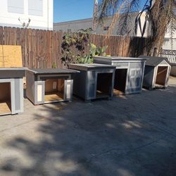 Dog House 