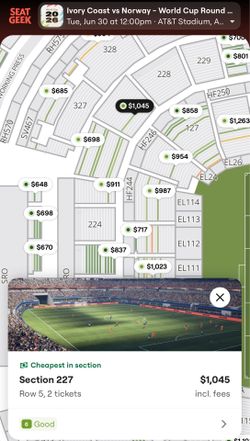 World Cup Tickets (2)- Norway vs. Ivory Coast