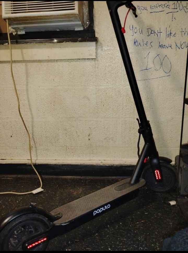 Populo Electric Scooter
