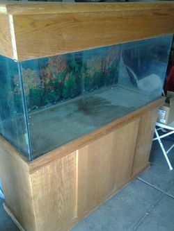 Fish tank and the stand and the top