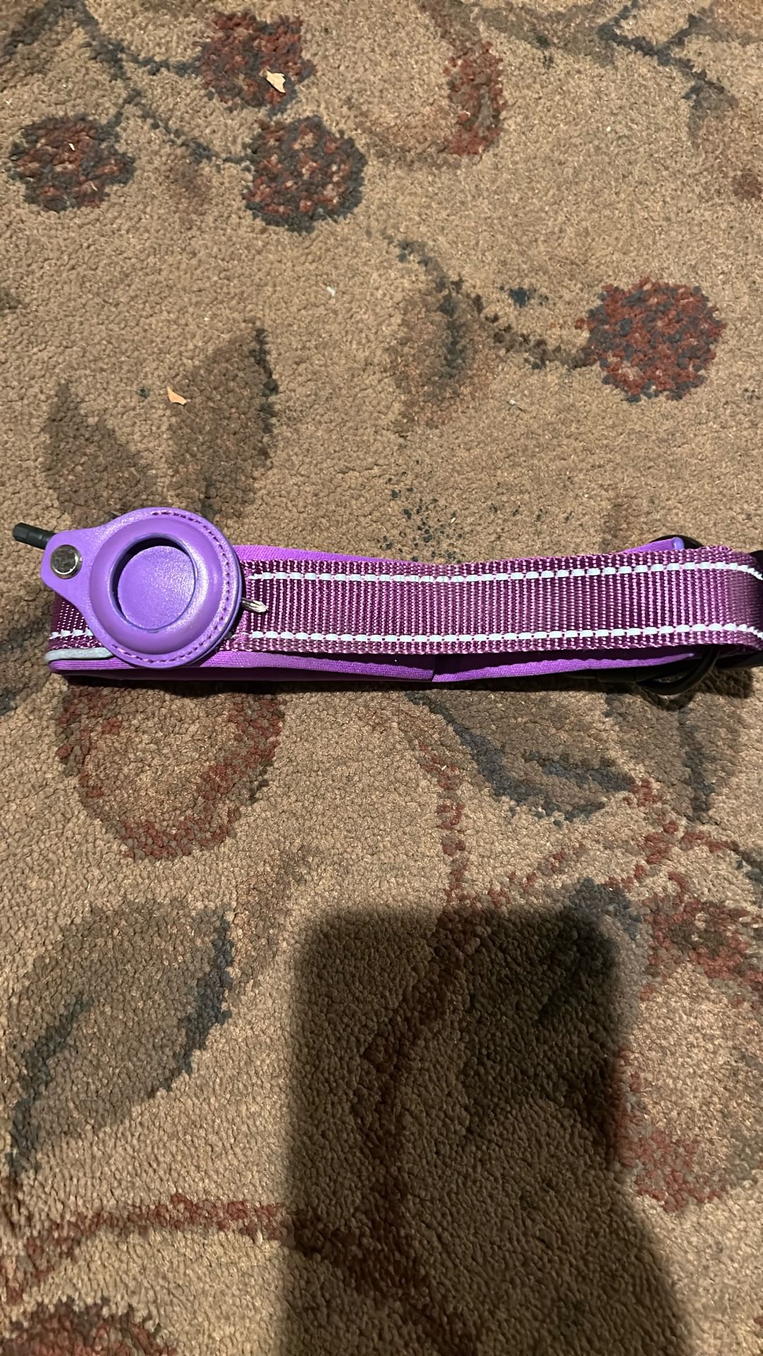 Dog Apple AirTag Holder Size M Collar New