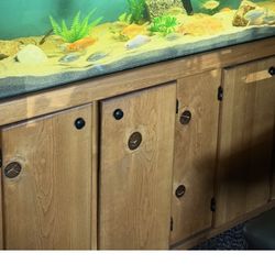 Aquarium. 125 Gallon