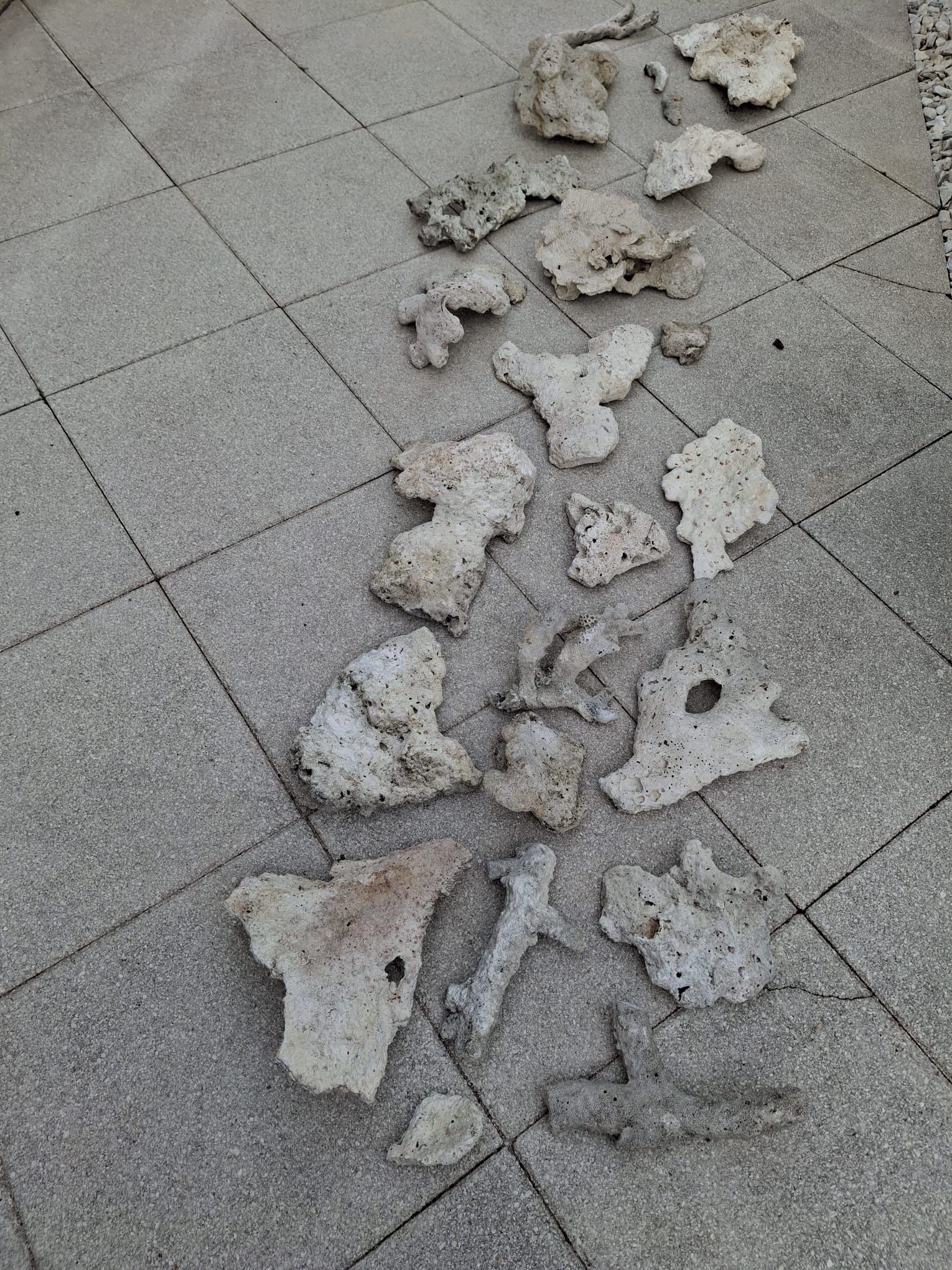 Corales para Pecera/ Rocks For Fish Tank