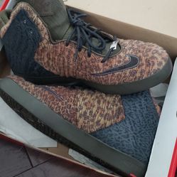 Lebrons Size 9
