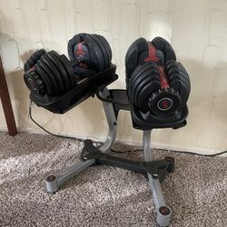 Bowflex Adjustable Dumbbell Weights with Stand