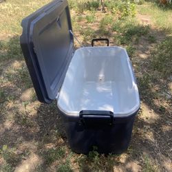 Cooler Coleman 