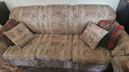 Pull out Couch ( full size bed) and chair