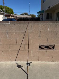 Abu Garcia Ambassadeur 5500 Baitcasting Reel & Fishing Rod Combo