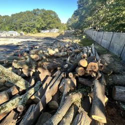 Free Firewood Long Pieces 