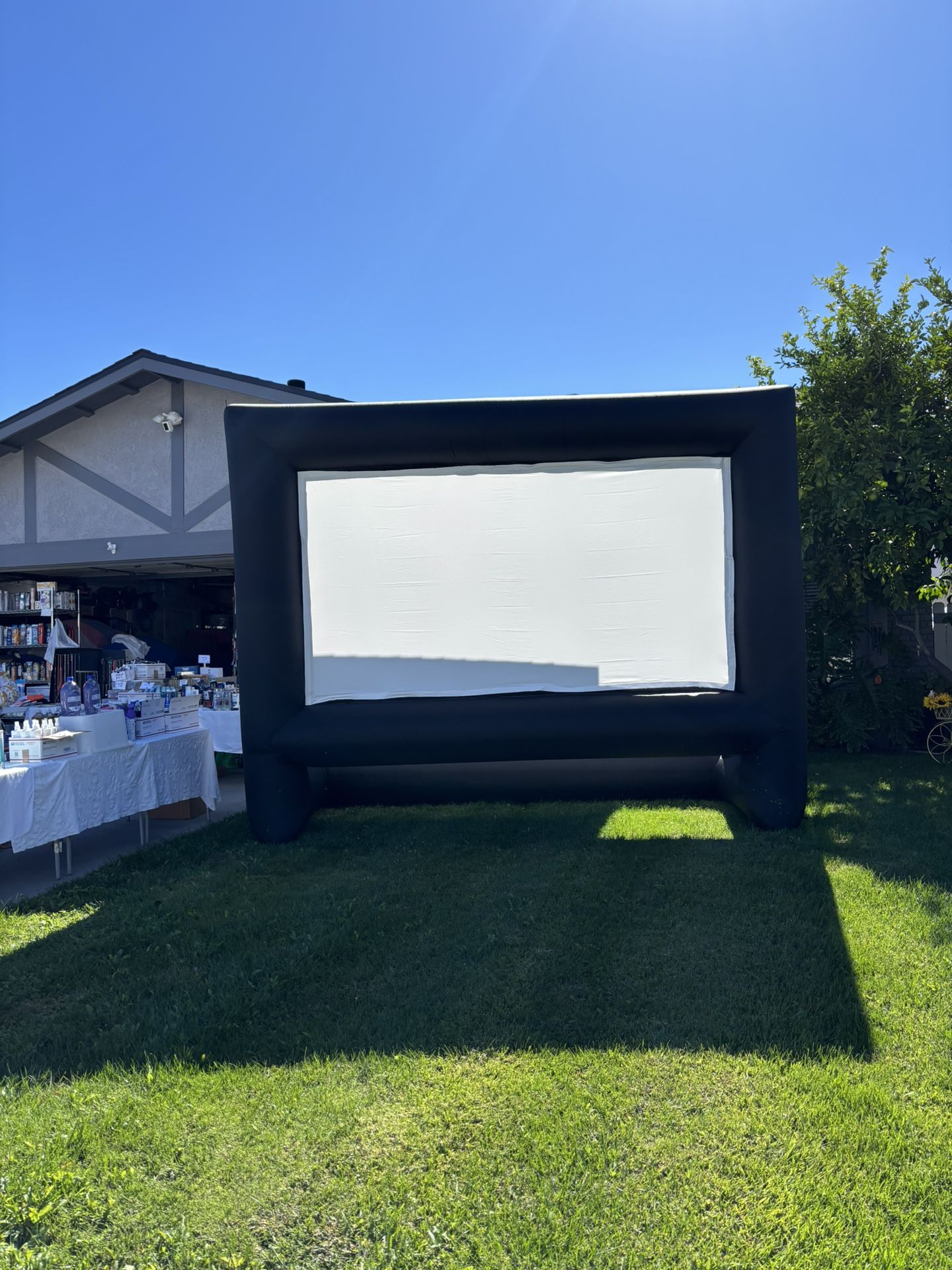 Giant Movie Screen