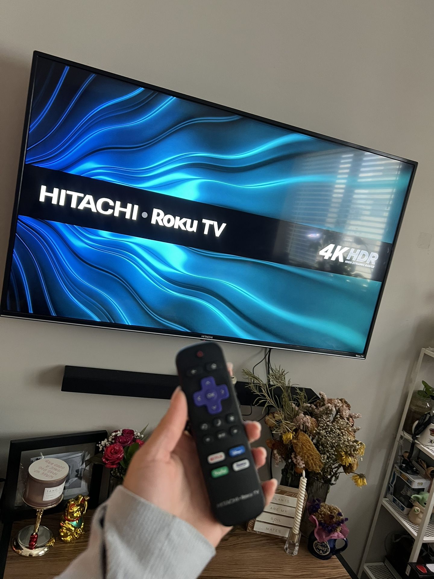 Roku Tv