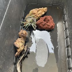 Freshwater Driftwood Fish Tank Decor Rocks Aquarium 