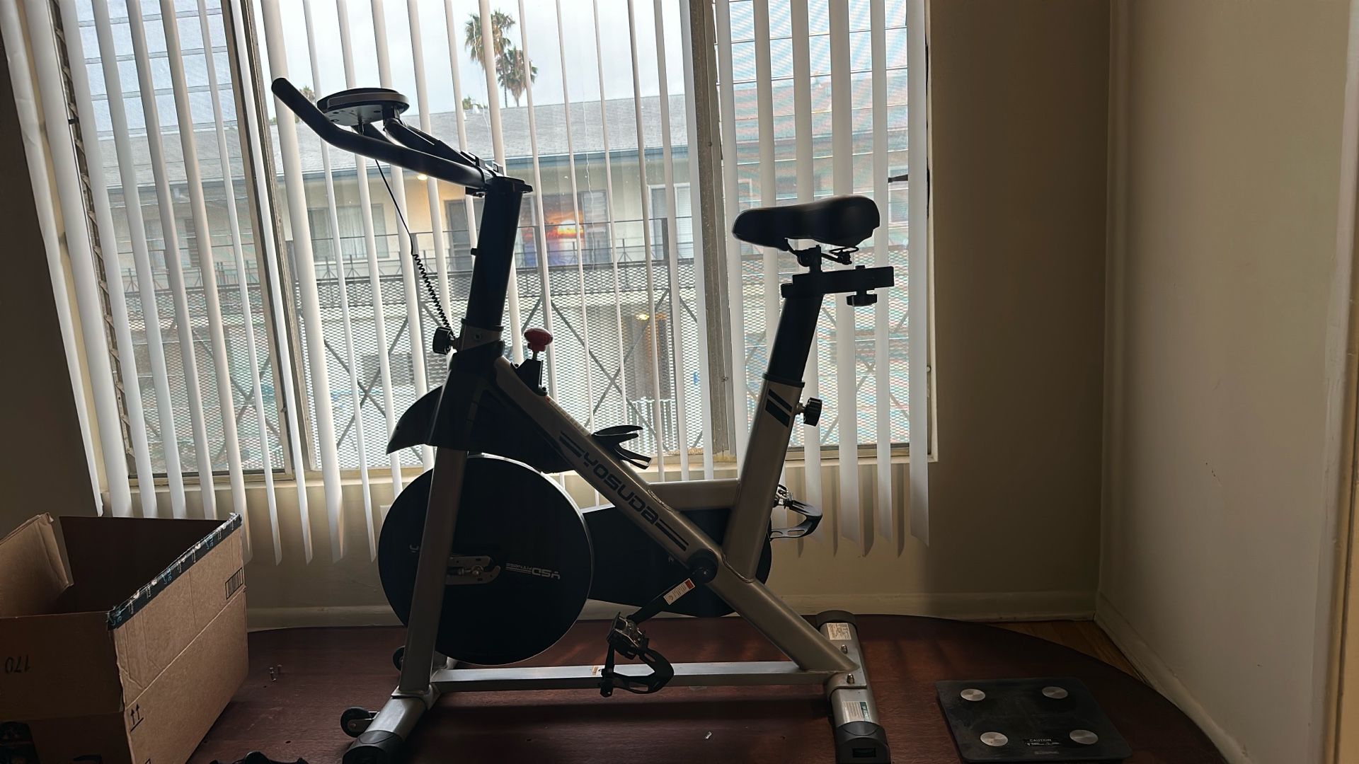 Yosuda Exercise Bike
