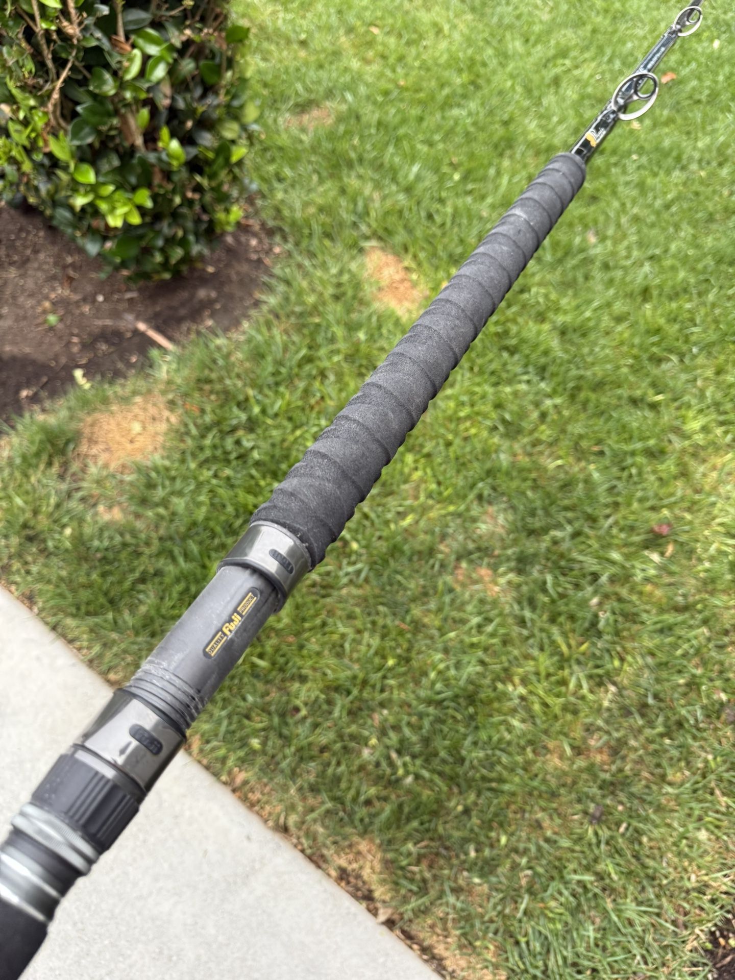 Phenix Axis Casting Rod
