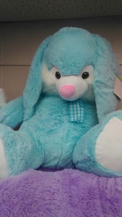 Bunny